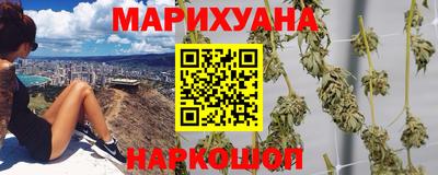 прущие грибы Заводоуковск
