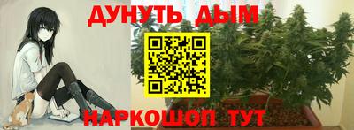 прущие грибы Заводоуковск