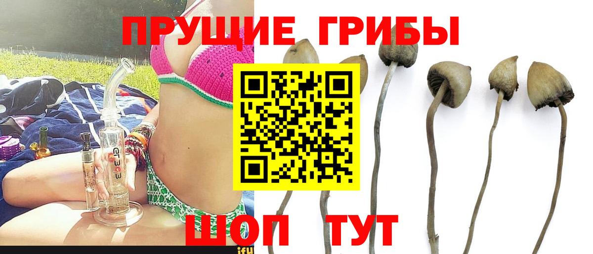 Псилоцибиновые грибы прущие грибы Партизанск